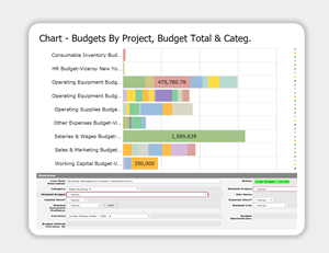 Budget Management & Reporting