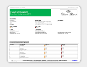IT Audits & Performance Reviews